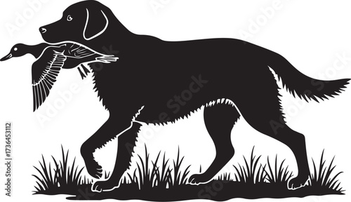 Black silhouette dog carrying duck in grass retrieving