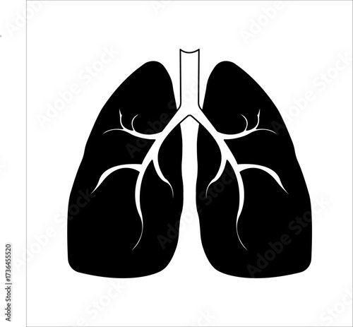 Lungs flat line icon. Thin vector pictogram of human internal organs, outline illustration for lung clinic.