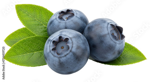Isolated blueberries with leaves, fresh, healthy, vitamin-rich, nutrient-packed, organic