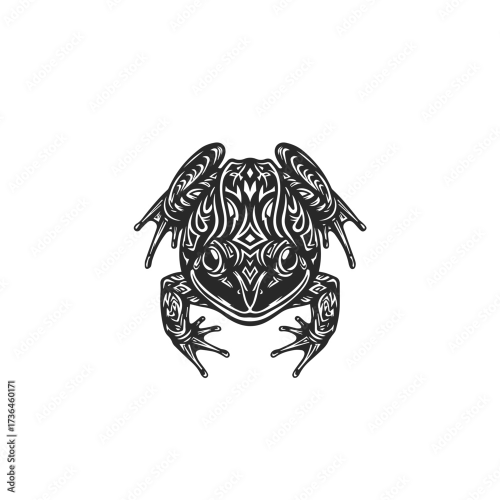 Fototapeta premium turtle isolated on white