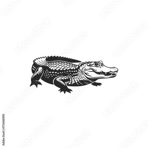 crocodile isolated on white