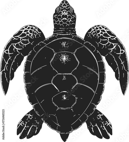 Sea turtle sketch hand drawn top view with detailed shell and flippers — stock vector