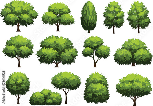 Collection of fifteen illustrated trees with diverse shapes, foliage density, and canopy patterns arranged in grid for landscape and design"