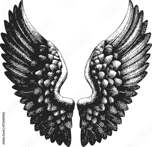 Angel wings sketch hand drawn detailed feathered symmetrical black and white — stock vector