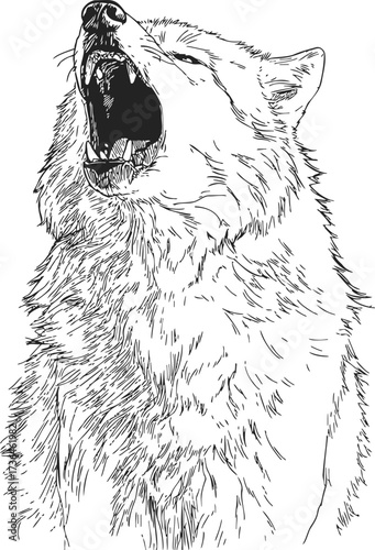 Wolf howling sketch hand drawn wild animal open mouth detailed fur — stock vector