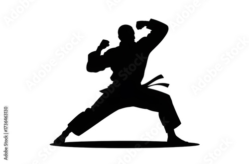 Powerful martial artist training stance silhouette, a dynamic pose of strength and discipline perfect for sports, fitness, and self-defense themes