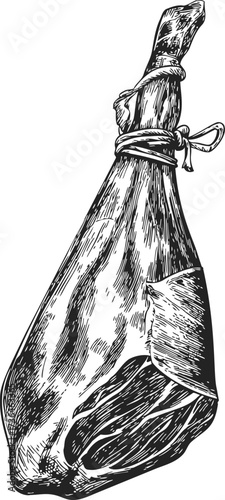 Ham leg sketch, hand drawn style, rustic cured meat illustration — stock vector