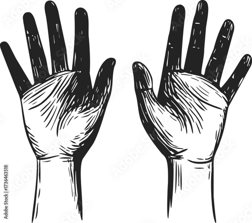 Hands sketch hand drawn open palms detailed line art illustration — stock vector