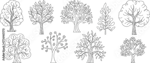 Hand-drawn decorative tree illustrations, black and white outline forest elements for coloring books, design projects, eco art, and nature prints.