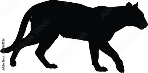 Panther, Cougar, Puma, Leopard, Jaguar, Feline, Predator, Wild, Animal, Silhouette, Cat, Beast, Hunter, Stealth, Nature, Wildlife, Jungle, Power, Strength, Symbol