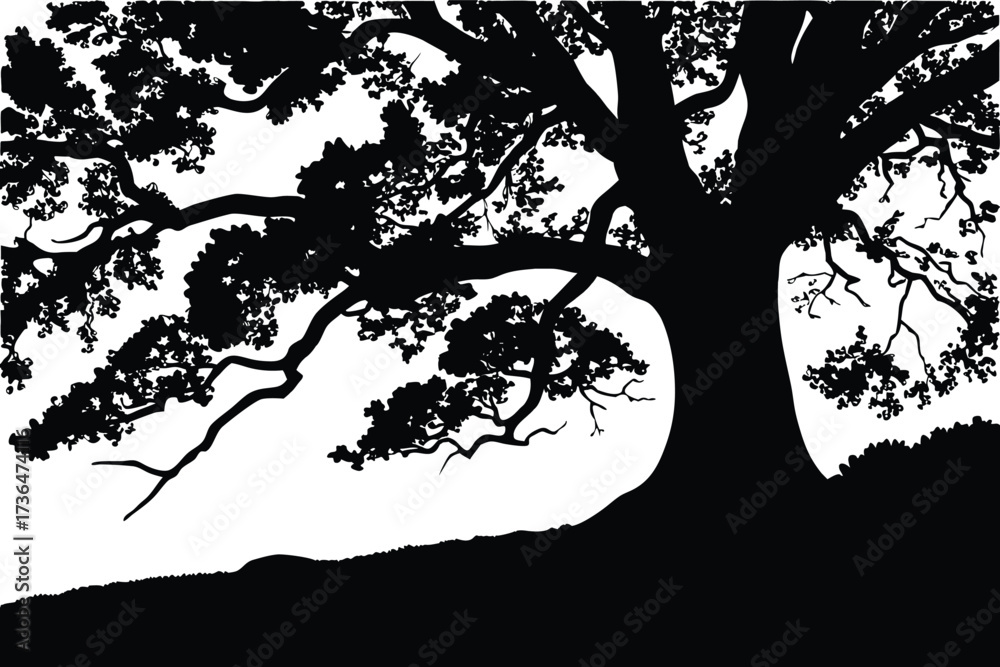 Fototapeta premium Large Tree with Branches Silhouette Vector Illustration