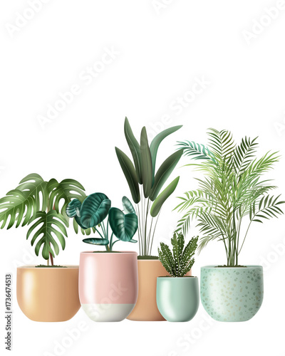 Stylish Indoor Potted Plants Collection on Transparent Background