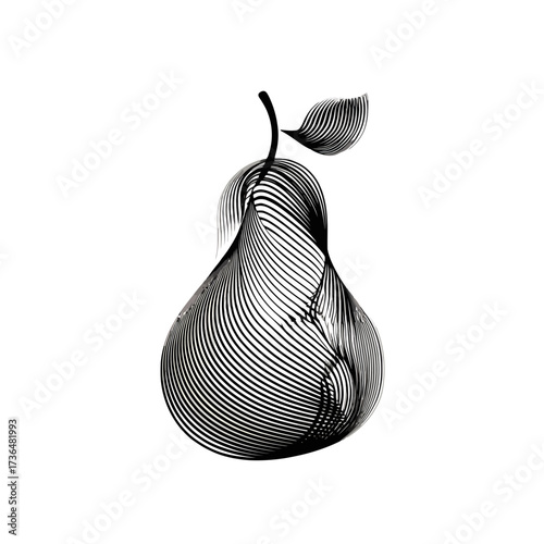 Detailed engraved style pear fruit illustration, black and white, for packaging, labels, organic food, health, and wellness branding. isolated on transparent background