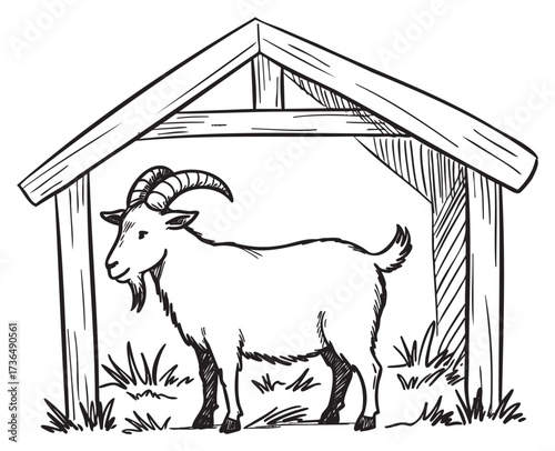 Illustrated goat in wooden shelter: hand-drawn barnyard scene with horned animal – retro hand drawn illustration