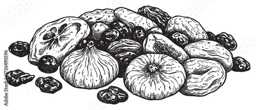 Variety of dried fruits and nuts in detailed black and white illustration – retro hand drawn illustration