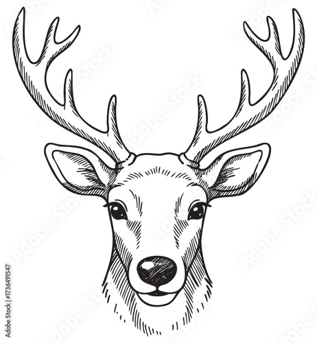 Detailed black and white deer illustration with majestic antlers – retro hand drawn illustration