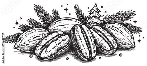 Vintage hand-drawn christmas nuts and pine leaves with festive decorations – retro hand drawn illustration