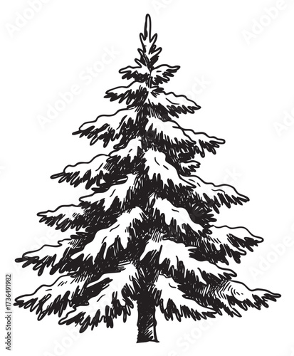 Snow-covered evergreen pine tree with detailed branches in black and white sketch – retro hand drawn illustration