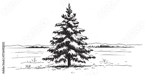 Snow-covered pine tree in winter landscape with mountainous horizon – retro hand drawn illustration