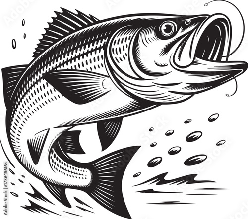 Woodcut Style Striped Bass Jumping Illustration in Black and White