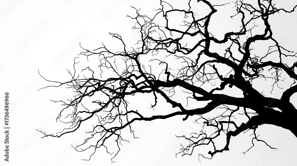 Obraz premium A black tree silhouette with bare branches against a white sky is a vector illustration of winter nature