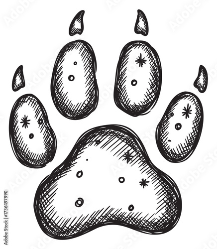 Detailed paw print sketch with textured pads and claw marks in black and white – retro hand drawn illustration