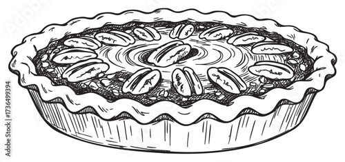 Delicious pecan pie sketch with detailed crust and decorative nuts – retro hand drawn illustration