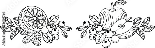 Black and white line art of fruit and berries with leaves, arranged in decorative clusters