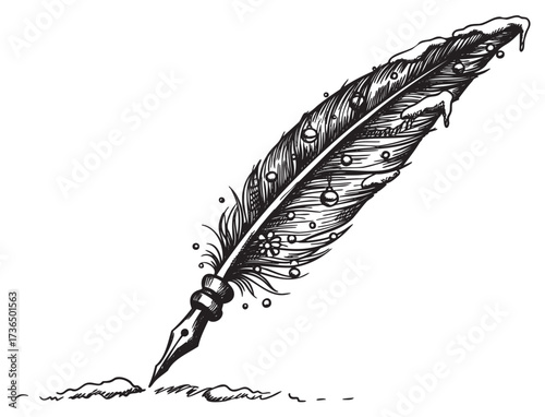 Intricate black ink drawing of feather quill pen with ink blots displaying fine detail – retro hand drawn illustration