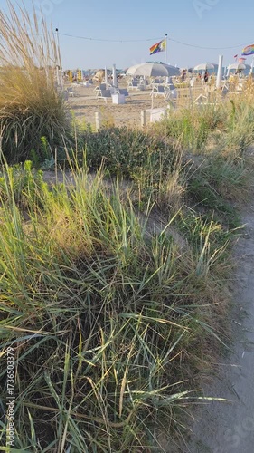 Rainbow LGBT Flag on summer beach. Green Miscanthus bush plants on the sandy coast garden. Relax under umbrellas.