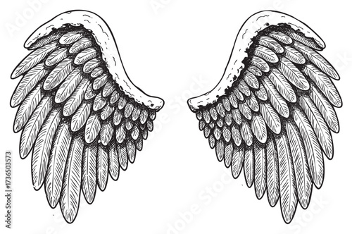 Intricate black and white angel wings illustration with detailed feather design – retro hand drawn illustration