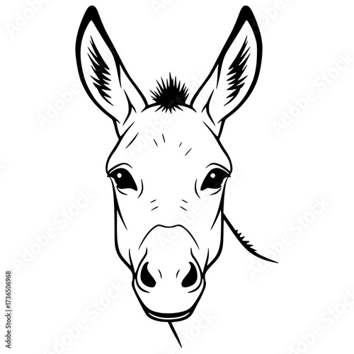 Donkey Head Front View Vector Illustration, Animal, Farm, Mule, Equine, Portrait