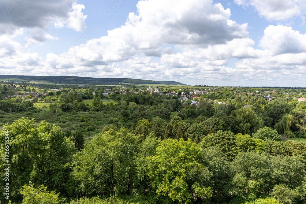 Fototapeta premium Summer landscape in the sunny day
