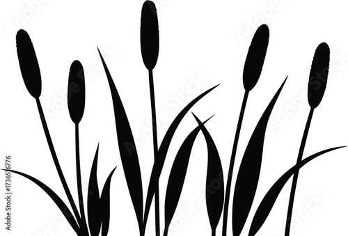 Bulrush silhouette vector illustration