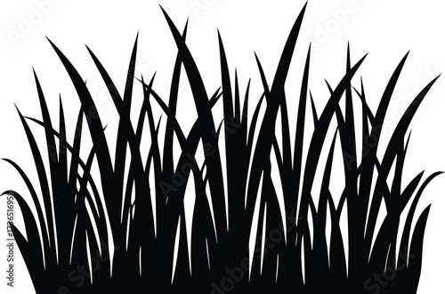 Grass field silhouette vector illustration