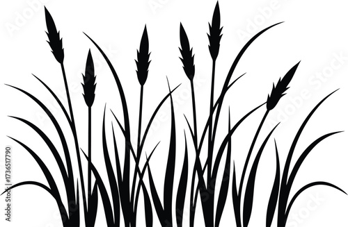 tall grass against a bright white backdrop creating a minimalist botanical design with a nature inspired aesthetic silhouette vector