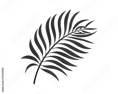 A stylized, hand-drawn illustration of a single palm frond with a textured, sketched appearance on a white background