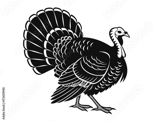 A detailed black and white illustration of a male turkey displaying its impressive fanned tail feathers, standing proudly.