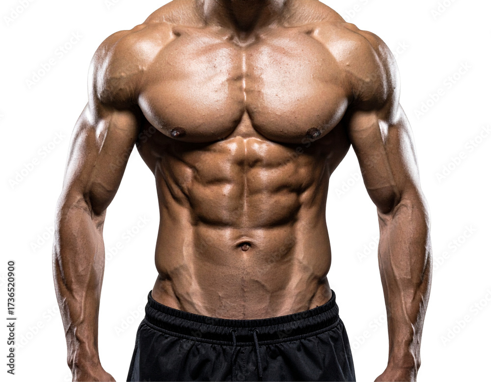 Fototapeta premium Fitness Model Torso Highlighting Abs and Pectoral Muscles