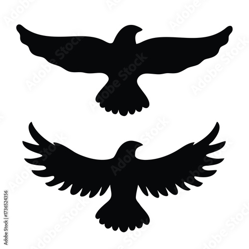 Two silhouetted birds of prey soaring with wings spread wide against a white background