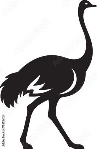 Walking ostrich silhouette black and white, Ostrich bird vector animal illustration