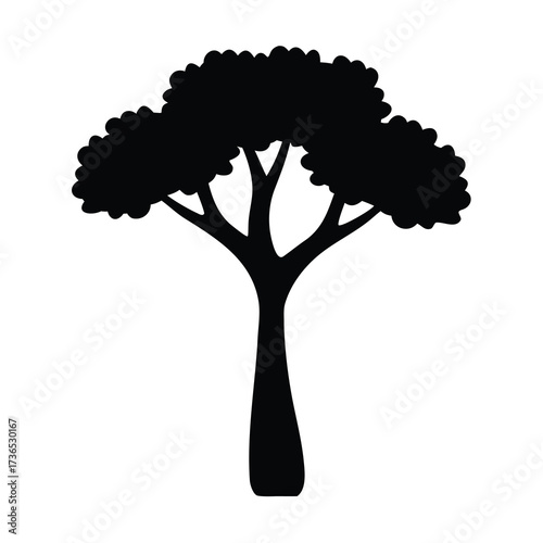 Silhouette of a distinctive acacia tree with a thick trunk and a broad bushy canopy