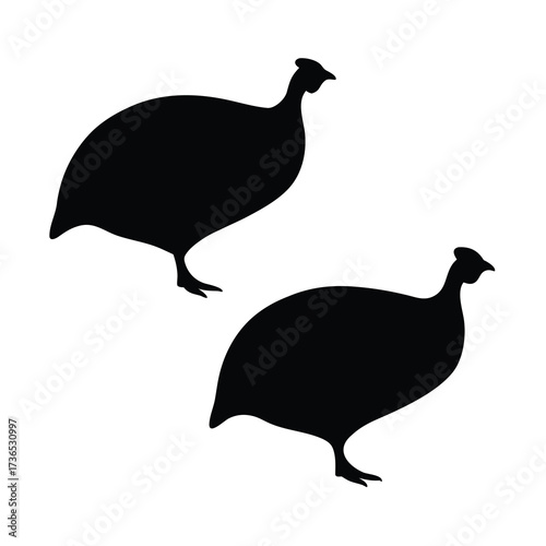 Two black silhouette guinea fowl standing against a white background