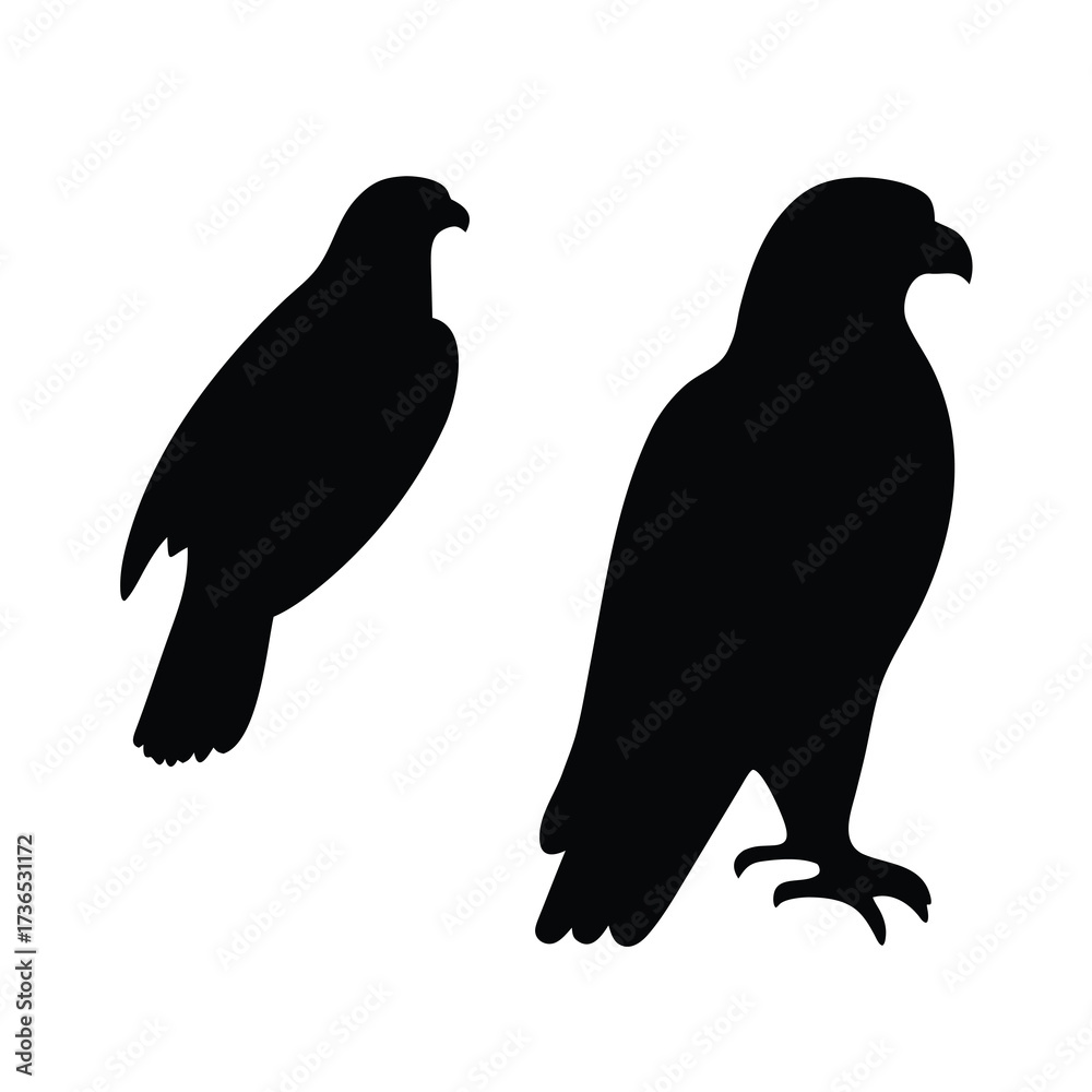 Fototapeta premium Two silhouette birds of prey with sharp beaks and talons against a white background