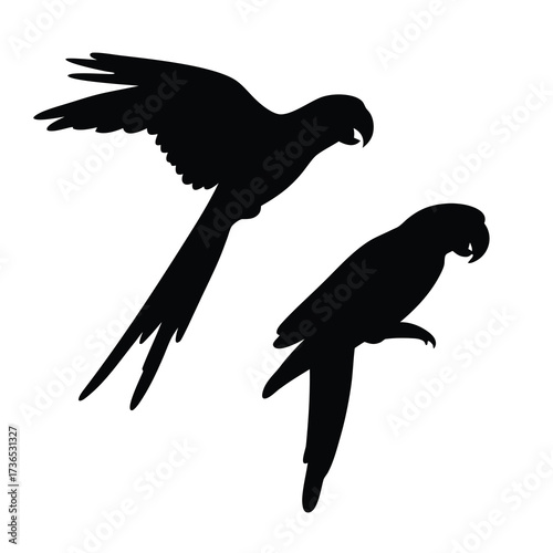 Silhouettes of two macaws one in flight and the other perched against a white background
