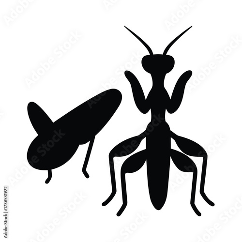 Silhouette of a praying mantis and its prey a grasshopper in black and white