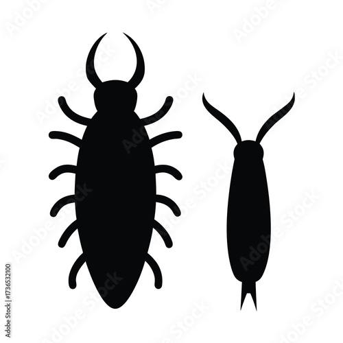 Silhouette of two distinct insects one large and horned the other slender and elongated