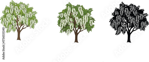 White blossom tree illustration set—green foliage, silhouette and realistic styles, expressive canopy shapes—vector botanical artwork, seasonal nature design