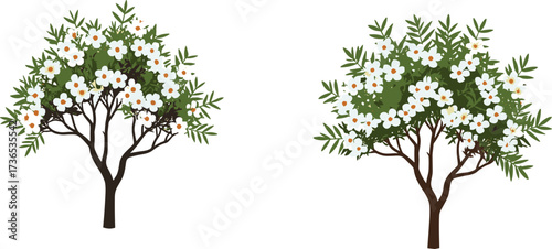White blossom tree illustration set—green foliage, yellow flower centers, compact and open canopy styles—vector botanical artwork, seasonal nature design