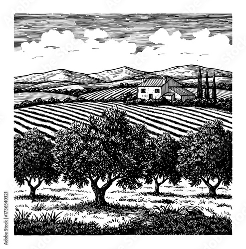 Olive trees field house and mountains landscape vintage Black and White Outline Line Art Drawing